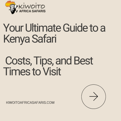 Kenya safari overview (cost, best time,tips)