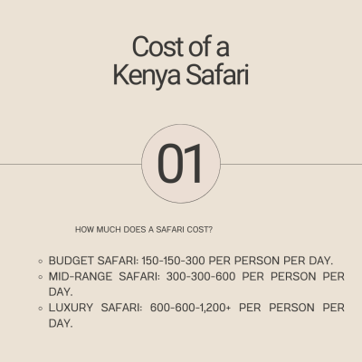 Kenya safari overview (cost, best time,tips)