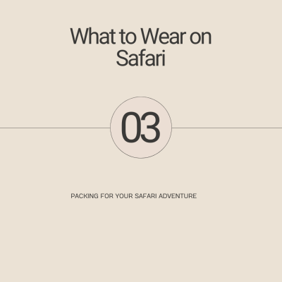 Kenya safari overview (cost, best time,tips)