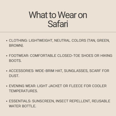 Kenya safari overview (cost, best time,tips)