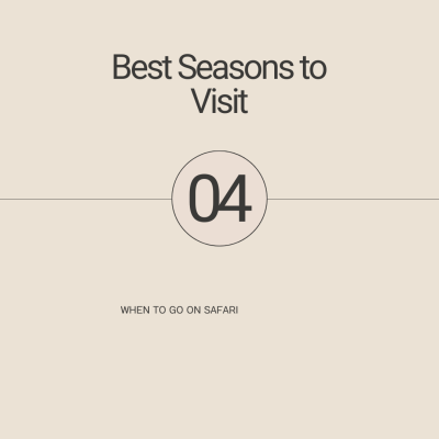 Kenya safari overview (cost, best time,tips)