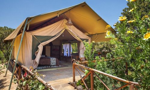 Rhino Watch Safari Lodge