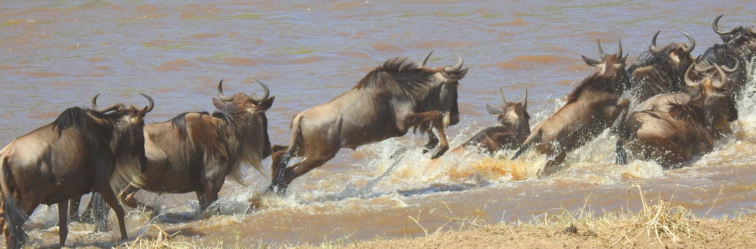 4 Days Unique Tanzania Safari