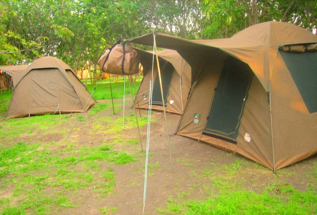 Safari pas cher en Tanzanie