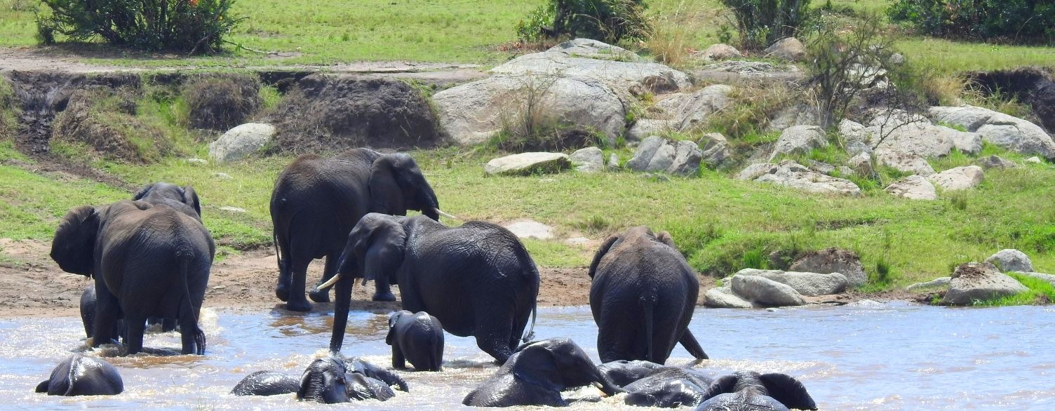 Parc National de Tarangire