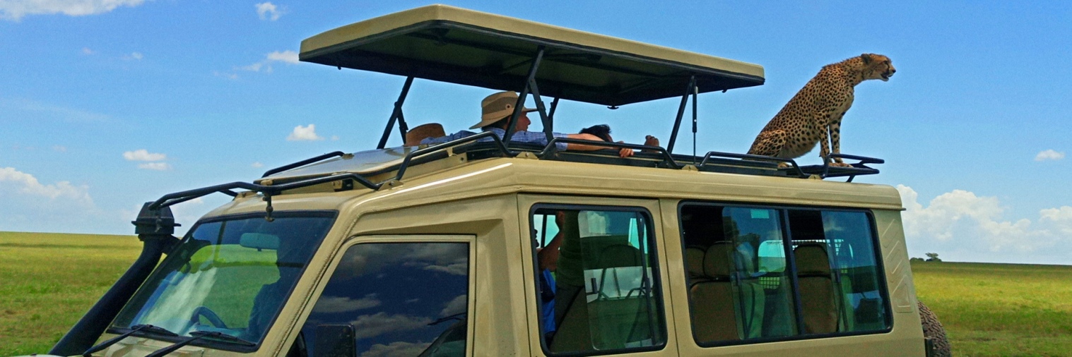 Safari privé en Tanzanie