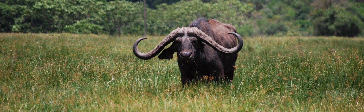 Arusha National Park
