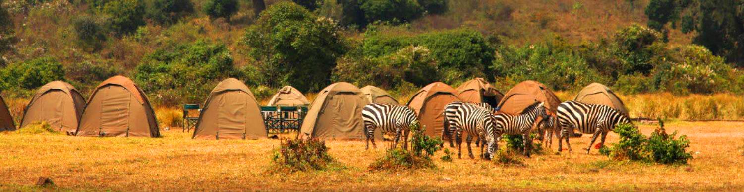 Safari en camping en Tanzanie