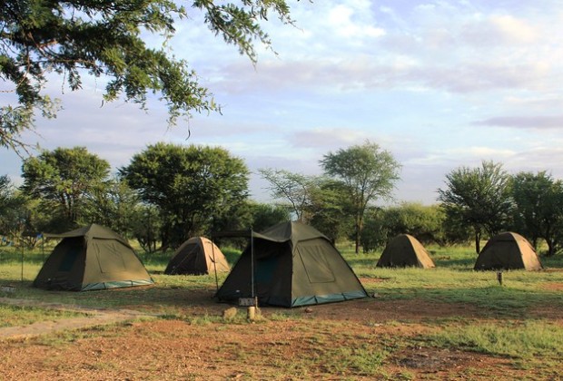 budget safari to Tanzania