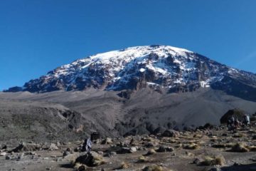 8 Days Kilimanjaro - Lemosho Route