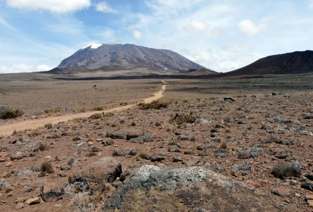 5 Days Kilimanjaro - Marangu Route