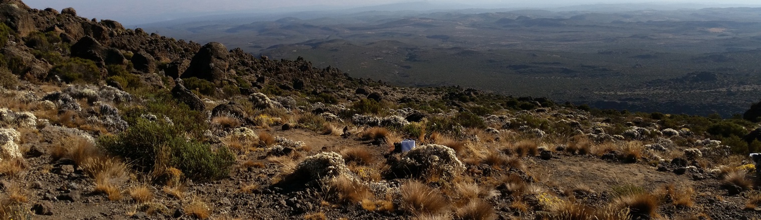 9 jours Kilimanjaro Trekking-Circuit du Nord