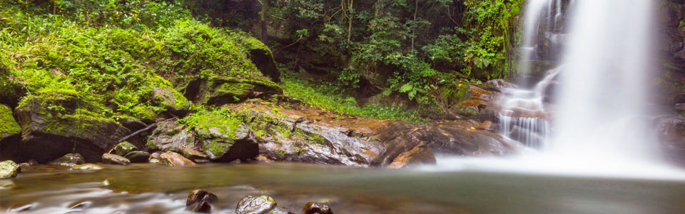 Udzungwa Mountains National Park