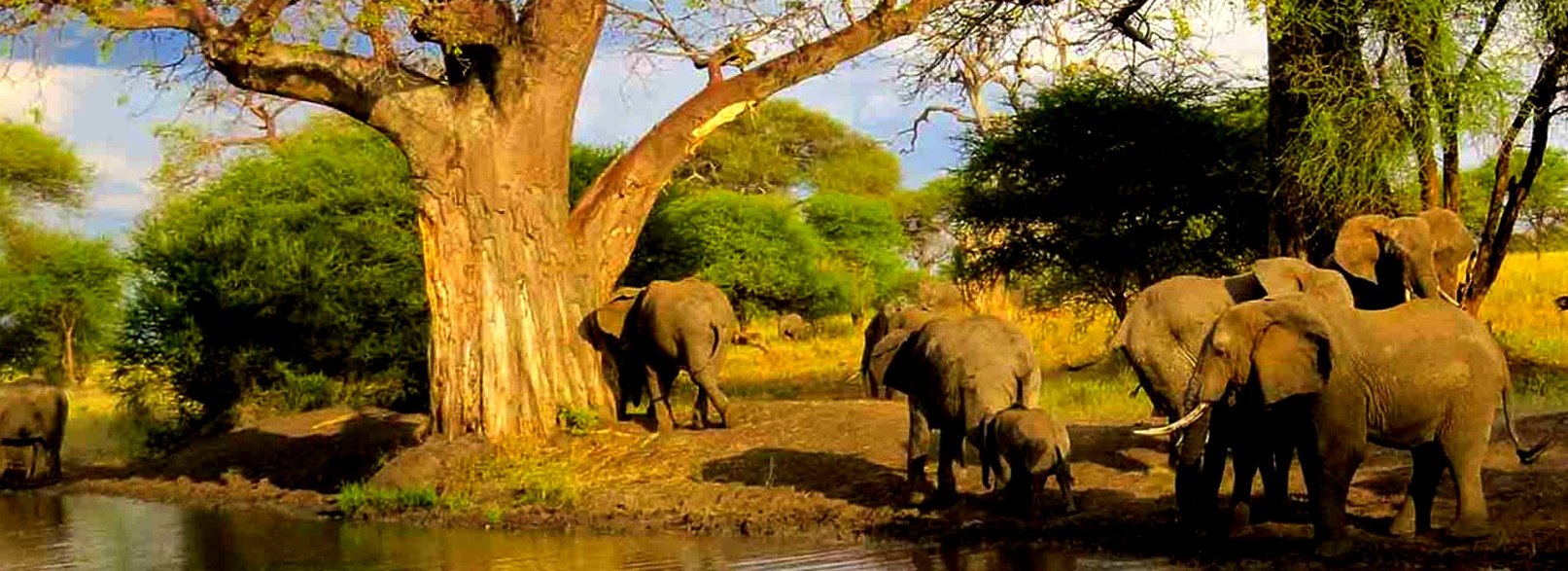 Excursion en canoë dans le parc national d'Arusha