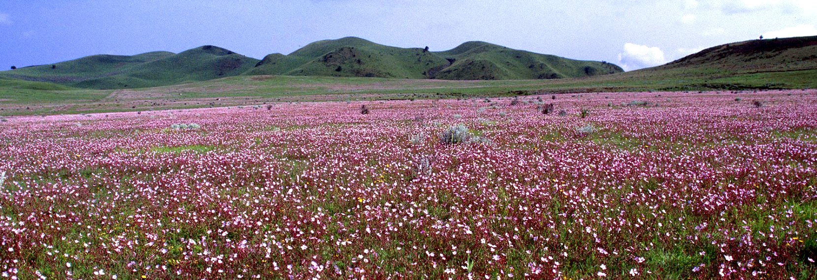 Kitulo National Park