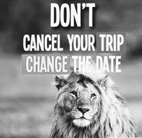 safari en tanzanie en toute sécurité