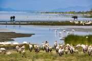 activités dans le parc national du lac Manyara