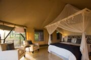 Best Luxury Safaris