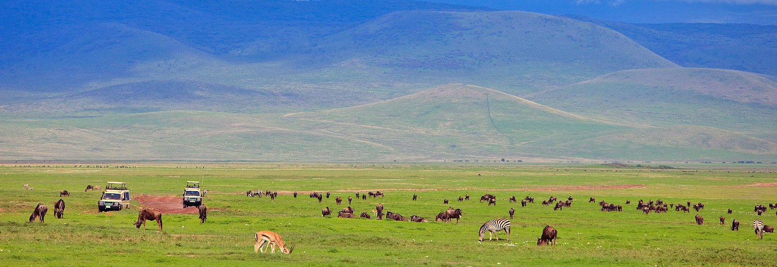 3 Days Ngorongoro Crater & Manyara