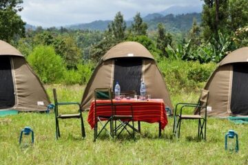 tanzania low budget group joining safari