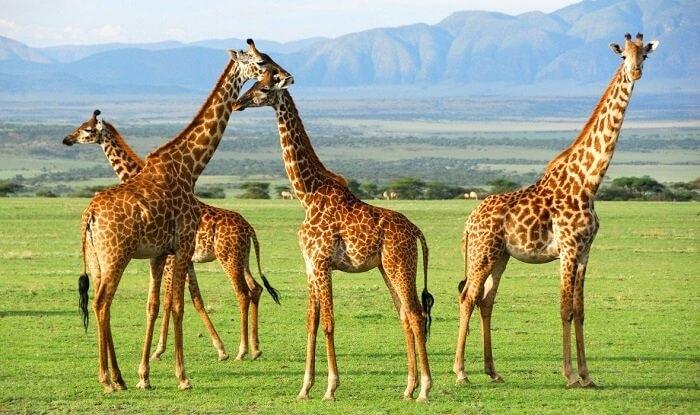 tanzania destinations