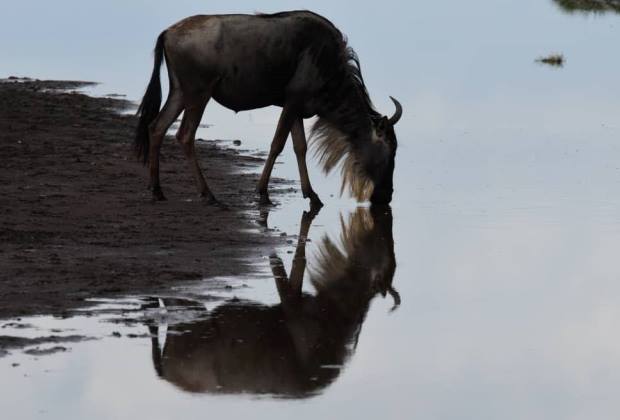 RUMANYIKA NATIONAL PARK