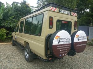 tanzania Family safaris