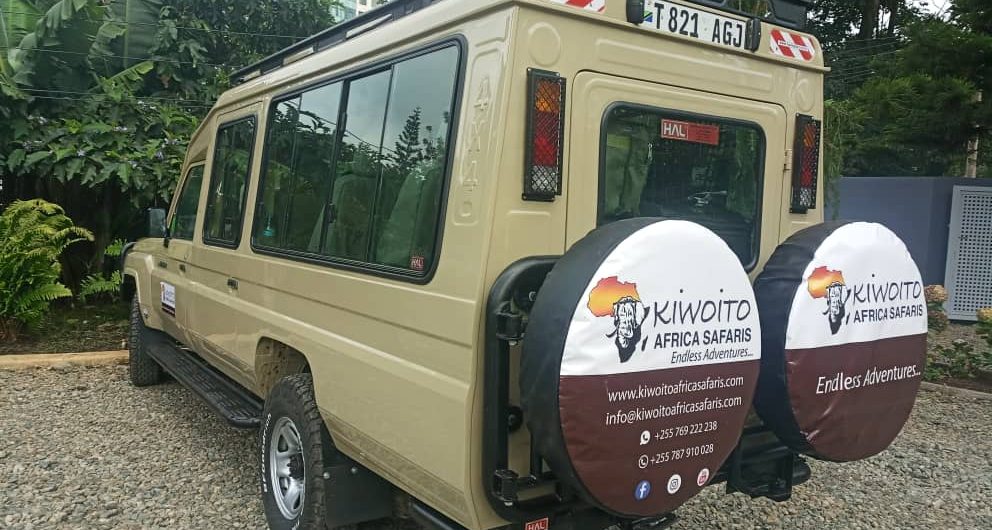 tanzania Family safaris
