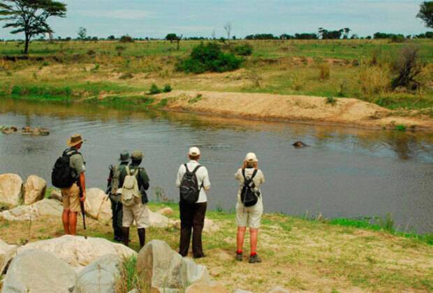 SAFARI À PIED EN TANZANIE