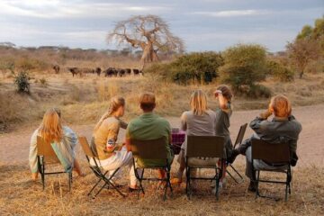 family safari in tanzania