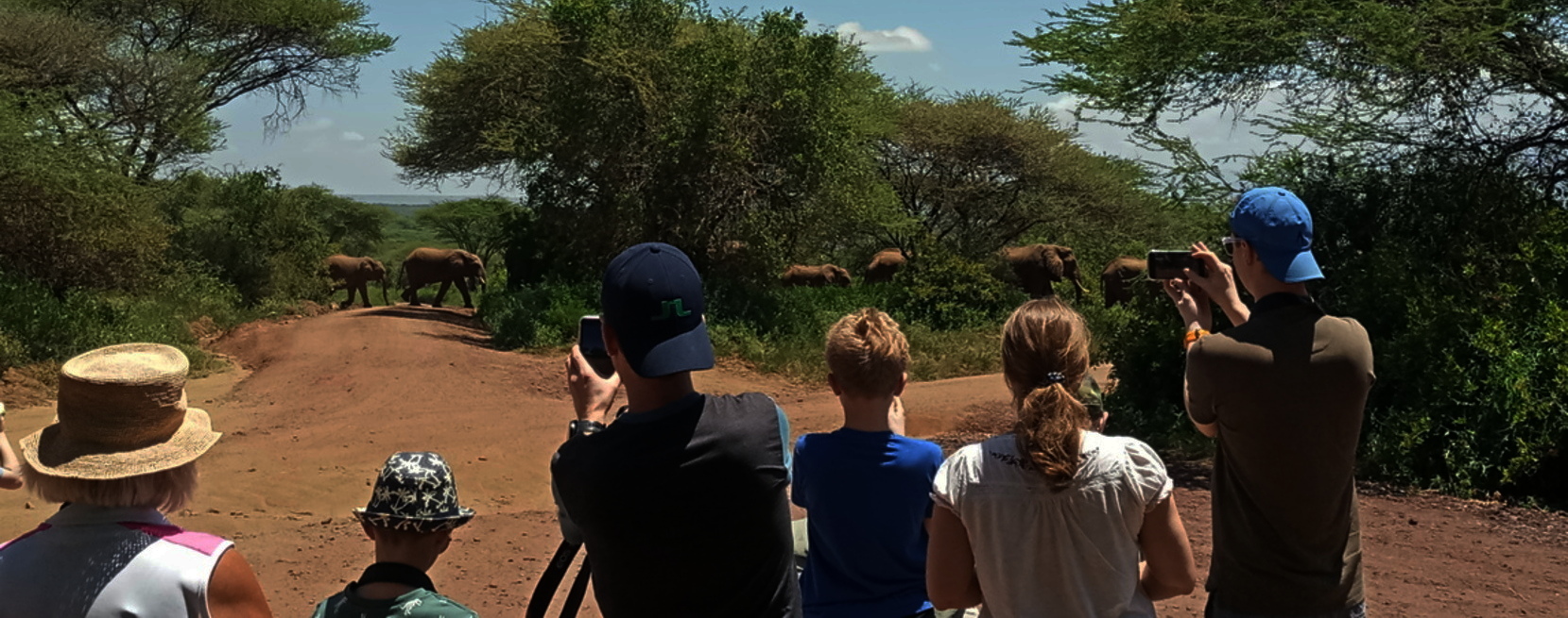 Safari familial en Tanzanie