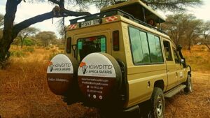 kiwoito africa safaris 4x4 safari jeep