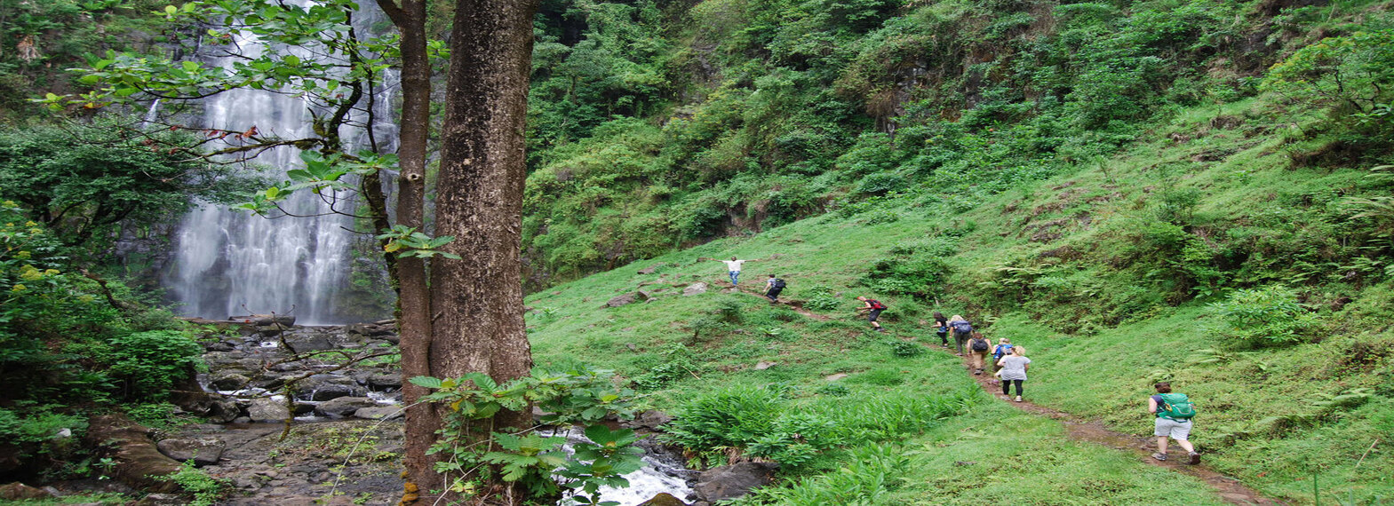 Day Trip To Materuni Water Falls