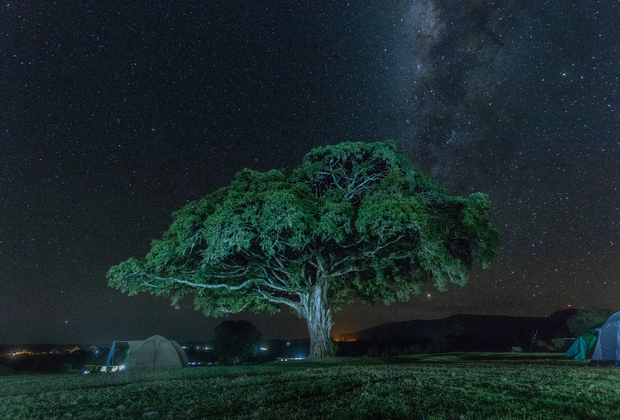 NGORONGORO CRATER 