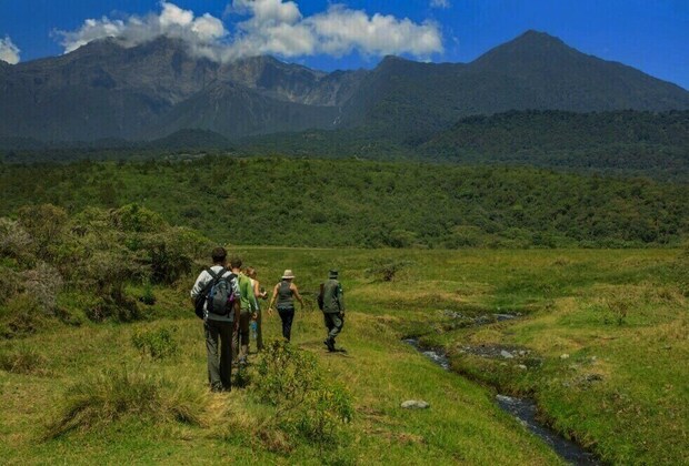 ARUSHA NATIONAL PARK WALKING SAFARI