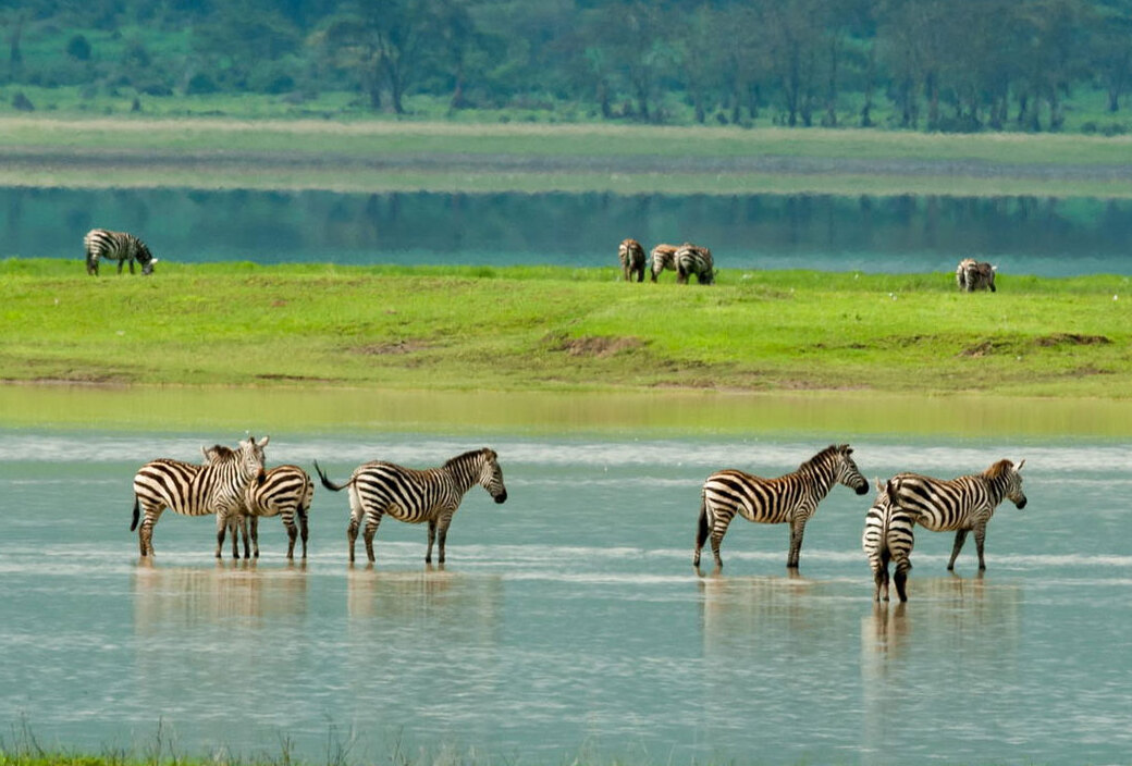 Safari de 9 jours en Tanzanie