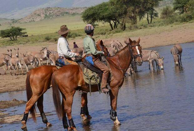 ÉQUITATION EN TANZANIE