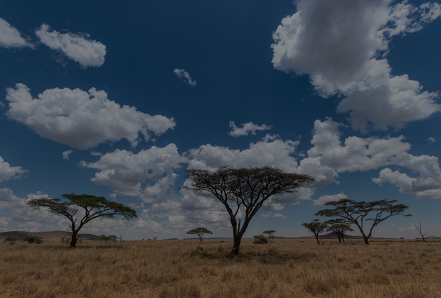tanzania photoghraphy safari