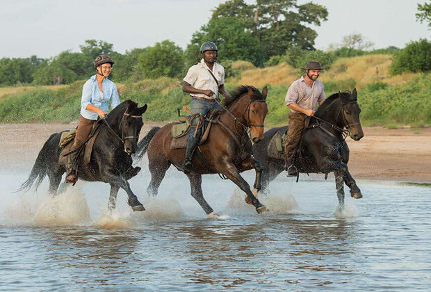 tanzania horse riding safari