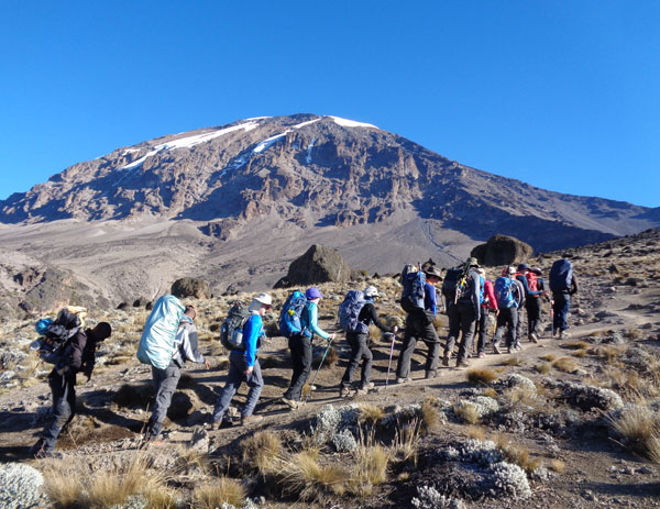 kilimanjaro lemosho route