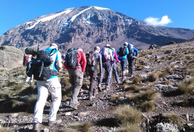 8 Kilimanjaro Trekking Lemosho Route