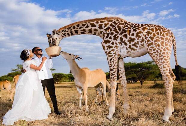 Visites et safaris de la faune de Seral