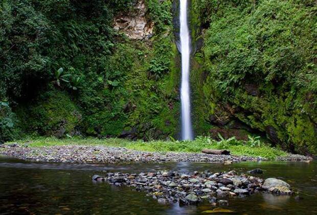 cascades de napuru
