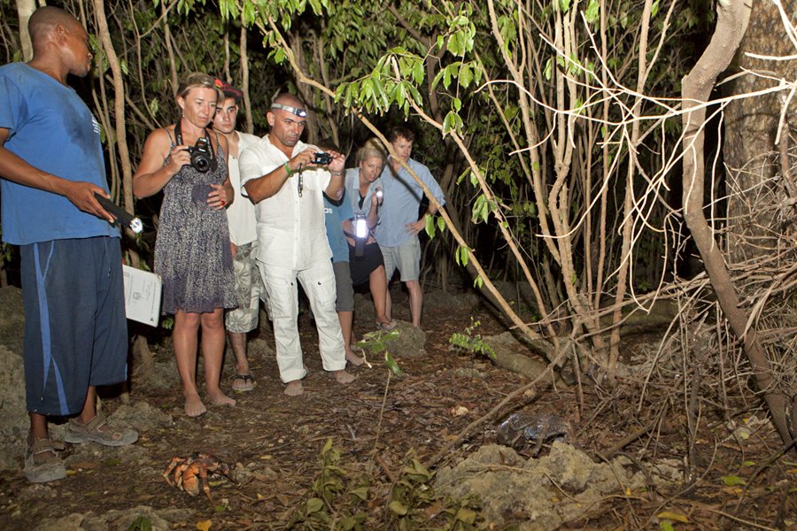 coconut crab walk