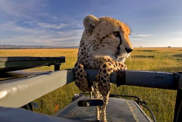 Safari and Tour Itineraries