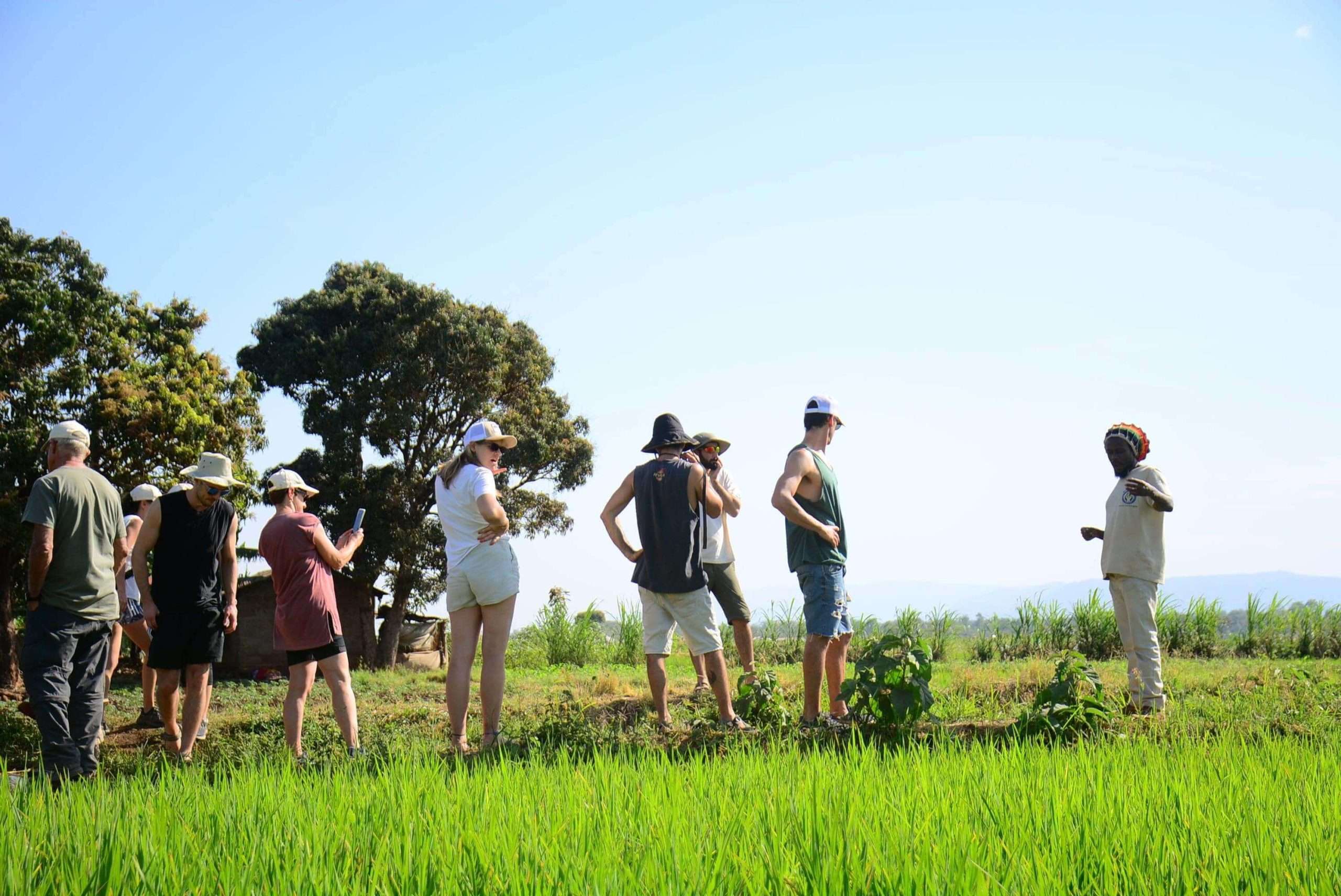 Tanzania Group Joining Safari