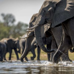 tarangire national park day trip