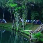 magoroto forest