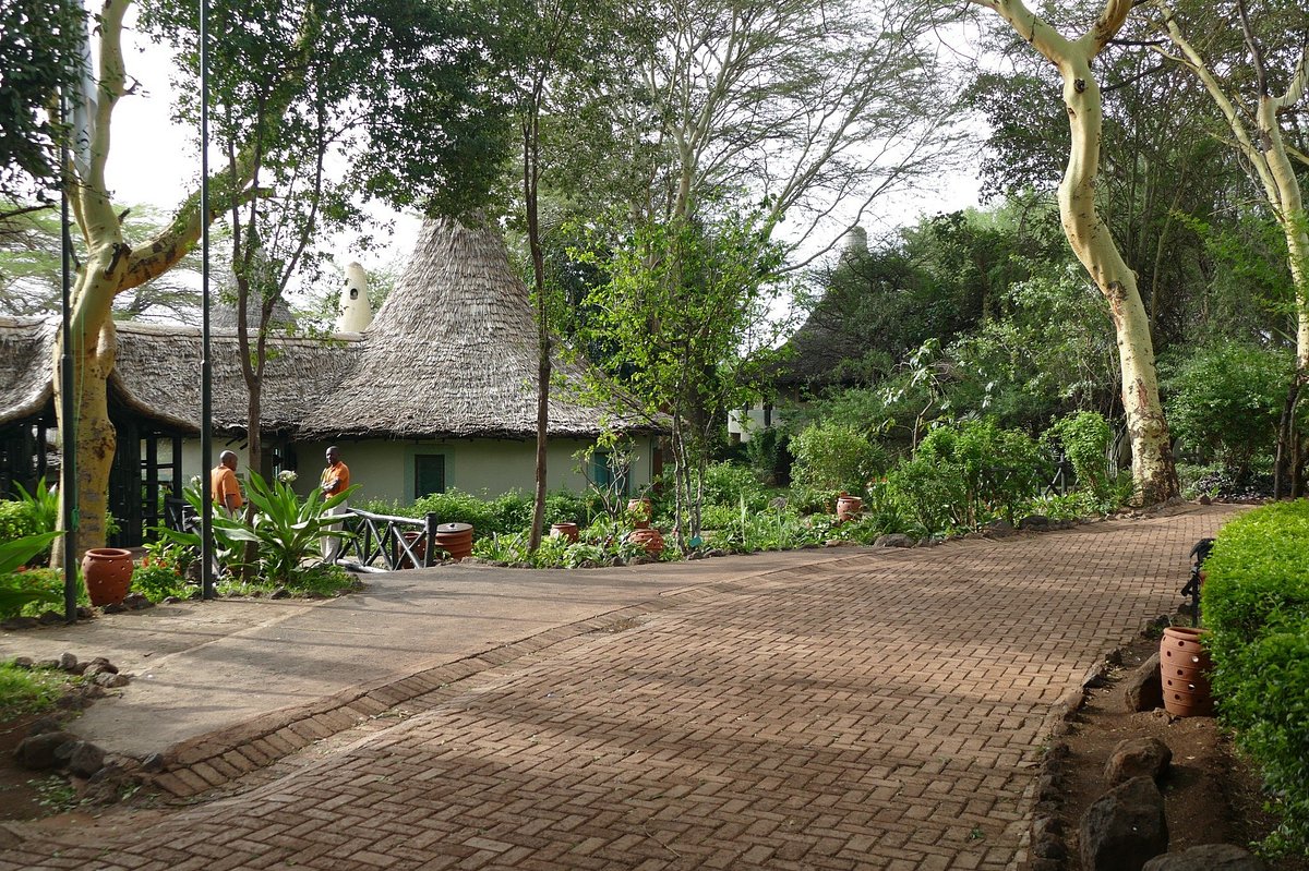 lake manyara serena safari lodge