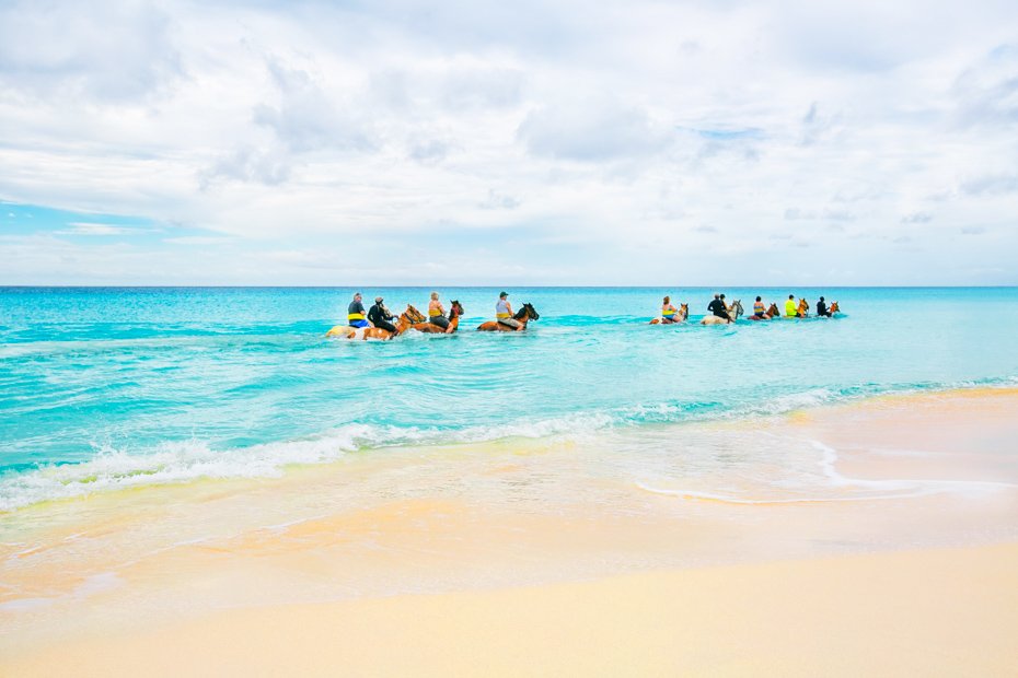 Zanzibar Beach Horse Riding